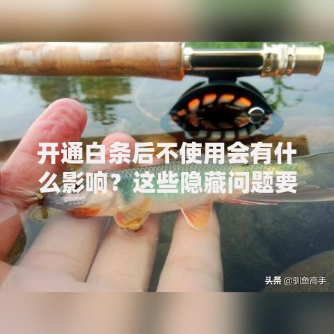 开通白条后不使用会有什么影响？这些隐藏问题要当心