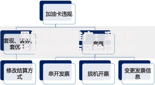黑口子如何推广：深度解析渠道选择与风险控制策略