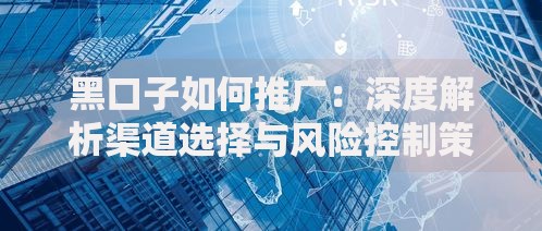 黑口子如何推广：深度解析渠道选择与风险控制策略