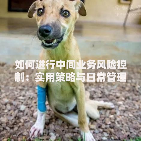 如何进行中间业务风险控制:实用策略与日常管理技巧 如何进行中间业务风险控制:实用策略与日常管理技巧