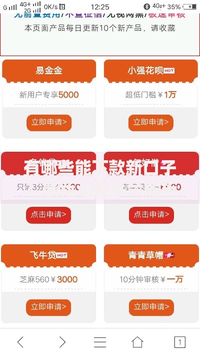 有哪些能下款新口子？最新正规平台解析与申请指南