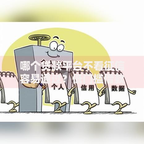 哪个贷款平台不看征信容易通过？低门槛借款渠道解析