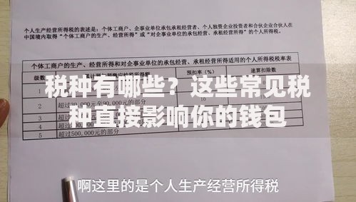 税种有哪些？这些常见税种直接影响你的钱包