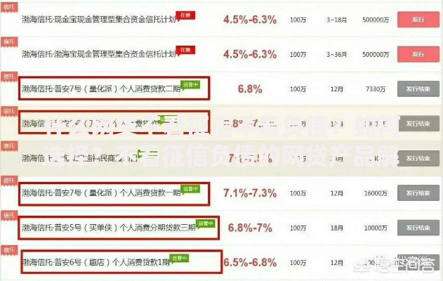 什么网贷不看征信不看负债?如何选择?不看征信负债的网贷产品解析 什么网贷不看征信不看负债?如何选择?不看征信负债的网贷产品解析
