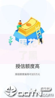 黑花了黑花了借款口子：正规平台选择与风险防范指南
