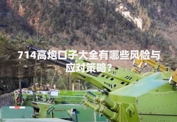 714高炮口子大全有哪些风险与应对策略？
