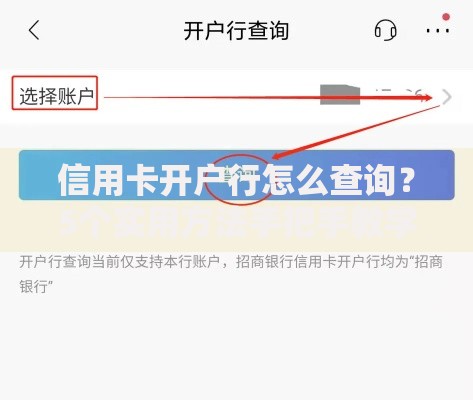 信用卡开户行怎么查询？5个实用方法手把手教学