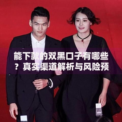 能下款的双黑口子有哪些？真实渠道解析与风险预警