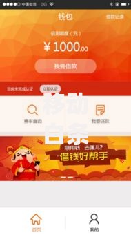 移动白条借款app：正规平台审核流程与额度范围解析