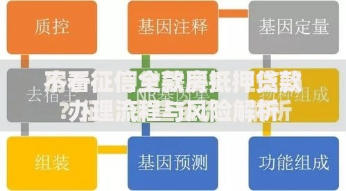 不看征信全款房抵押贷款办理流程与风险解析