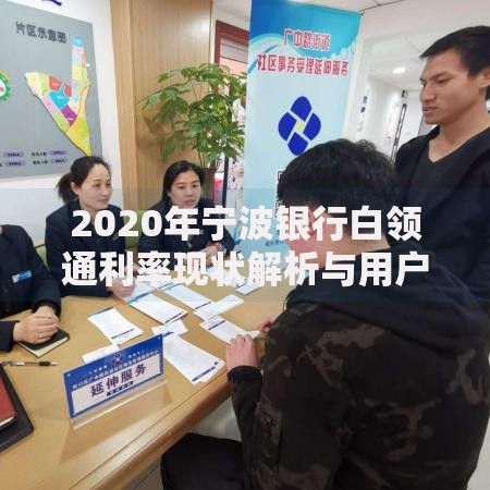 2020年宁波银行白领通利率现状解析与用户实用指南