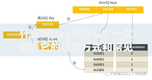 什么叫pay类交易?一文搞懂它的运作方式和常见场景 什么叫pay类交易?一文搞懂它的运作方式和常见场景