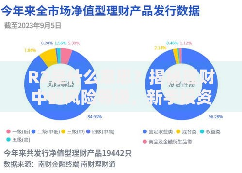 R2是什么意思？揭秘理财中的风险等级，新手投资必看！