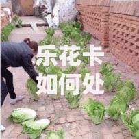乐花卡如何处理信用记录？用户必知的影响与应对策略