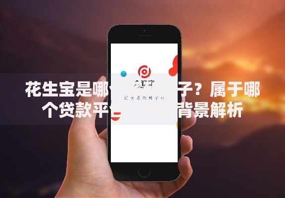 花生宝是哪个系列口子？属于哪个贷款平台？产品背景解析
