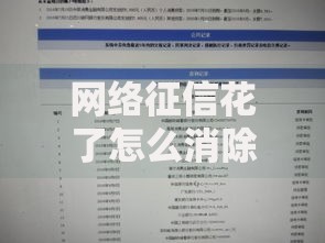 网络征信花了怎么消除？全面解析修复征信的有效方法