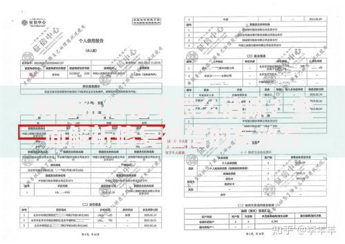 网络征信花了怎么消除？全面解析修复征信的有效方法