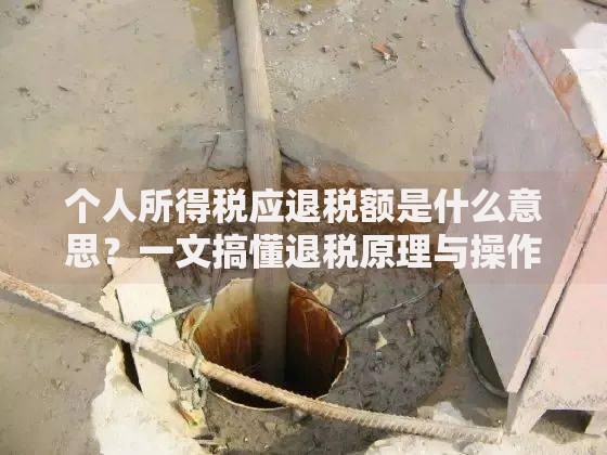 个人所得税应退税额是什么意思？一文搞懂退税原理与操作技巧