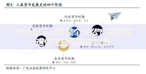 中金数字货币是个什么？揭秘其运作逻辑与未来前景