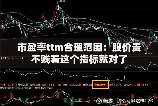 市盈率ttm合理范围:股价贵不贱看这个指标就对了 市盈率ttm合理范围:股价贵不贱看这个指标就对了