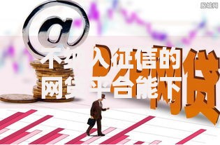 不纳入征信的网贷平台能下款吗？深度解析审核流程与风险