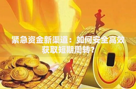 紧急资金新渠道：如何安全高效获取短期周转？