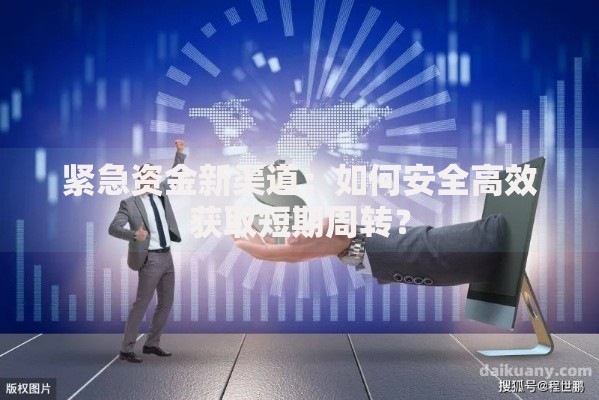 紧急资金新渠道：如何安全高效获取短期周转？