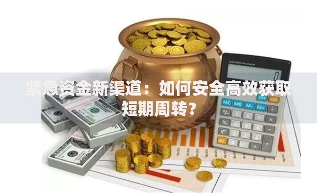 紧急资金新渠道：如何安全高效获取短期周转？