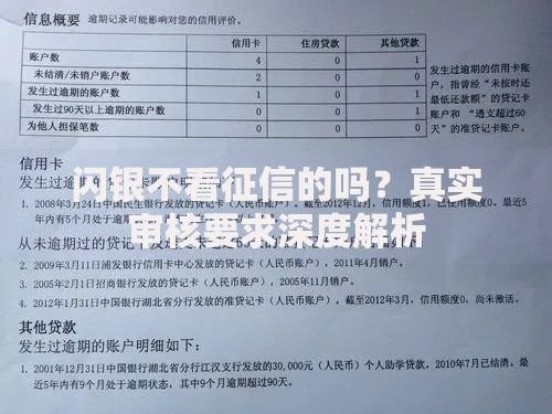 闪银不看征信的吗？真实审核要求深度解析