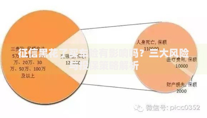 征信黑花了买车险有影响吗？三大风险与投保策略解析