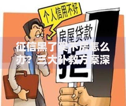 征信黑了买不房怎么办？三大补救方案深度解析