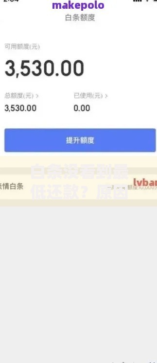 白条没看到最低还款？原因分析与快速解决指南