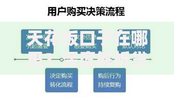 天花板口子在哪里？深度解析贷款渠道选择与风险评估