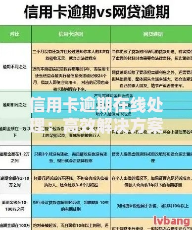 信用卡逾期在线处理：高效解决方案与注意事项