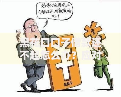 黑花口口子借款还不起怎么办?应对高利贷纠纷的合法途径解析 黑花口口子借款还不起怎么办?应对高利贷纠纷的合法途径解析