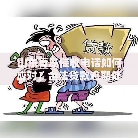 山东青岛催收电话如何应对？合法贷款逾期处理指南