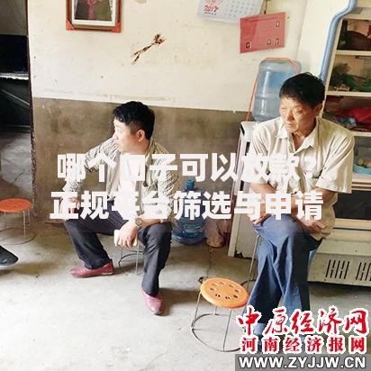 哪个口子可以放款？正规平台筛选与申请攻略