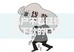 黑户不看征信秒下款的口子：秒批借款渠道深度解析