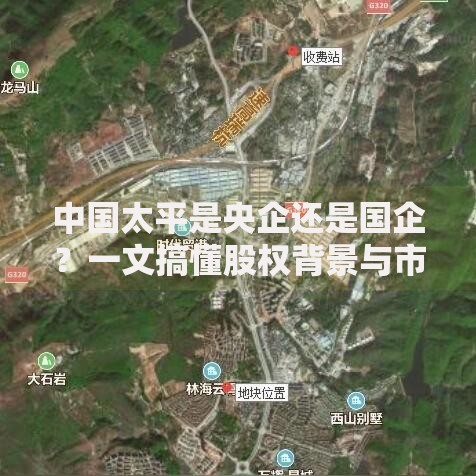 中国太平是央企还是国企？一文搞懂股权背景与市场定位