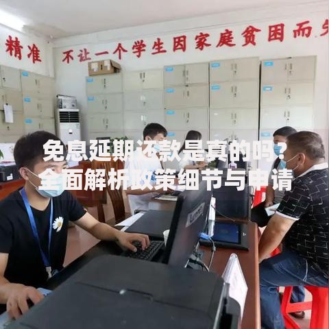 免息延期还款是真的吗？全面解析政策细节与申请风险