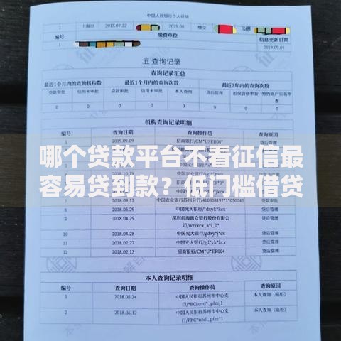 哪个贷款平台不看征信最容易贷到款？低门槛借贷渠道解析