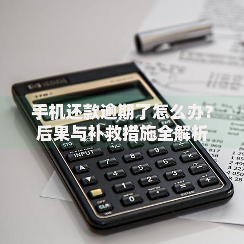 手机还款逾期了怎么办？后果与补救措施全解析
