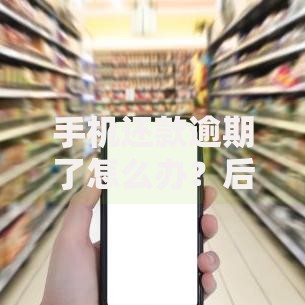 手机还款逾期了怎么办？后果与补救措施全解析