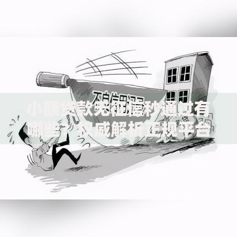 小额贷款无征信秒通过有哪些？权威解析正规平台与申请技巧