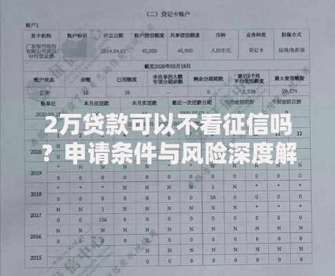 2万贷款可以不看征信吗？申请条件与风险深度解析