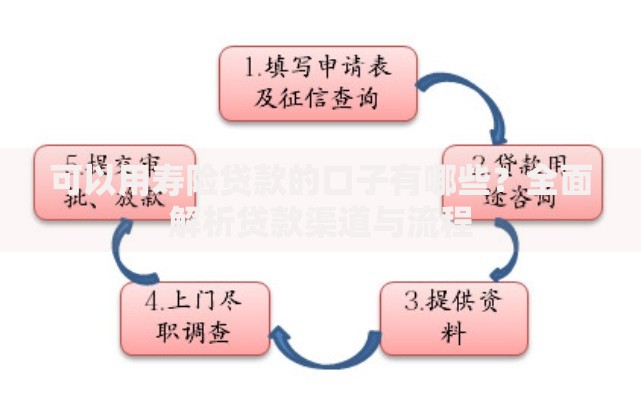 可以用寿险贷款的口子有哪些？全面解析贷款渠道与流程