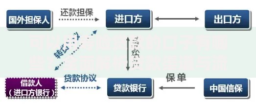 可以用寿险贷款的口子有哪些？全面解析贷款渠道与流程