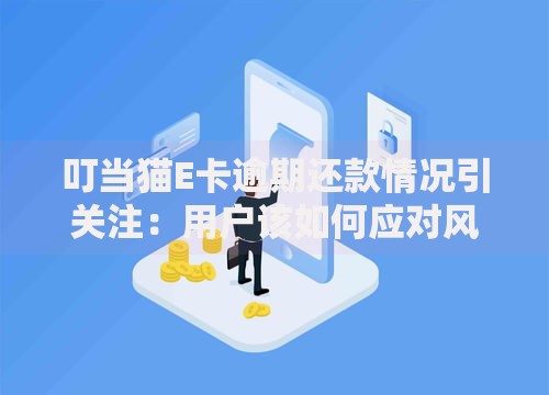 叮当猫E卡逾期还款情况引关注：用户该如何应对风险？