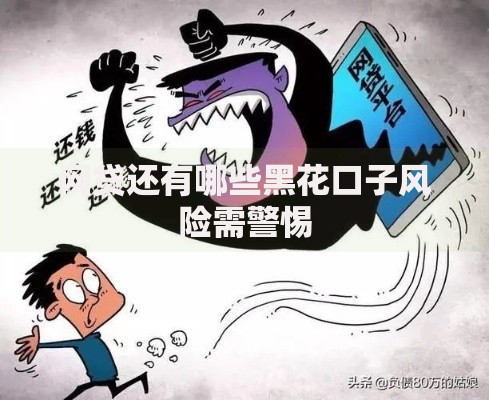 网贷还有哪些黑花口子风险需警惕