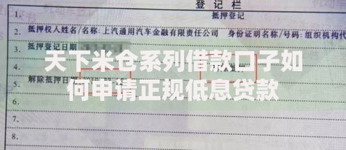 天下米仓系列借款口子如何申请正规低息贷款